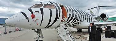 07 Cf Africa 650x230 Png 650 230 Private Jet Paint Job Freeborn