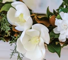 See more ideas about magnolia wreath, magnolia, wreaths. For The Love Of Magnolias Flower Magazine