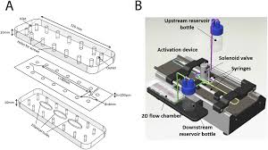 Modifier for creating holes from selected vertices or polygons. Side Dependent Effect In The Response Of Valve Endothelial Cells To Bidirectional Shear Stress International Journal Of Cardiology