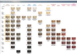 Clairol Professional Liquicolor Shade Chart Clairol Professional Hair Color Chart Hair Color Chart