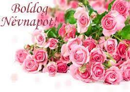 Kedves juditok, gabriellák, etelkák, violák, évák! Rozsas Nevnapi Koszonto Rose Flower Pictures Rose Flower Wallpaper Pink Flowers Wallpaper