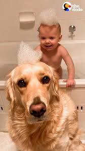 Puppies are born both deaf and blind. The Dodo Parents Document Newborn Baby S First Year With Their Dog Facebook