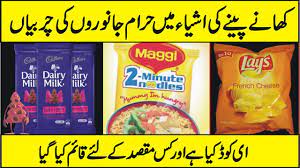 E476 is combination of polyglycerol and castoroil (oil of the tree ricinus sp. What Are E Codes In Food Are They Haram Or Halal In Urdu Hindi Youtube
