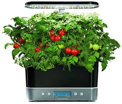 Maybe you would like to learn more about one of these? 13 Of The Best Grow Lights For Indoor Gardens Gardener S Path