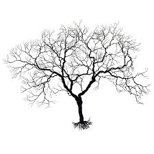 I know im not that good at this but ive been asked a few times about how i draw my trees. Black Oak Wire Tree Large