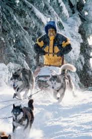 14 Winter Themed Kids Movies For Snowy Days Snow Day Movie Snow Dogs Kid Movies