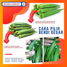 Okra, deft, ochro, tidied, bhindi, bhendi, vegetable, nutmeg vegetables. Tipsseldec Hashtag On Twitter