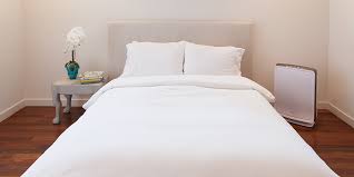Search for top room air purifiers. Top Tips For Choosing And Using An Air Purifier Allergy Air
