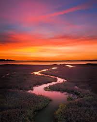 An Island S Agony And Ecstasy Tybee Island Used To Deny Blacks On The By The Talented Tenth Review Medium