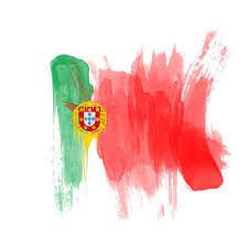 Portuguese Flag By Stereoflo On Deviantart Portuguese Flag Learn Portuguese Portugal Flag