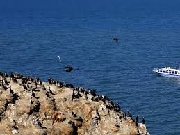 Wisata rawa dano serang / wisata rawa dano serang rawa danau serang rawa dengan ketinggian 192 meter diatas permukaan laut banten inilah tempat wisata alam wisata keluarga wisata anak air terjun pantai dan danau yang. Tempat Wisata Paling Menarik Di Banten Yoshiewafa