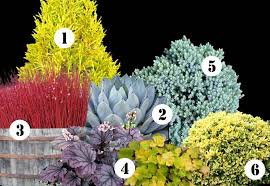 Edge a path to your front door with short neat box and backfill the border with soft lavender for contrast. My Front Yard Landscape Plan This Year Ideas For Year Round Color In Your Garden Pretty Purple Door