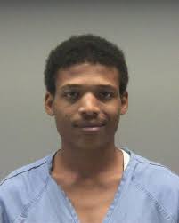 Dayton man accused of killing kitten in 'fit of rage' indicted