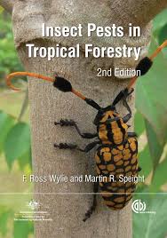 Boring, mining & soil insects. Insect Pests In Tropical Forestry Cabi Org
