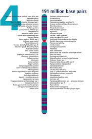 Chromosome 4 Human Genome Landmarks Poster