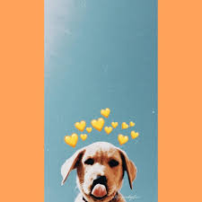 Download for free 65+ dog aesthetic sunflower wallpapers. Dog Aesthetic Wallpapers Top Free Dog Aesthetic Backgrounds Wallpaperaccess
