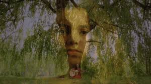 We Shall Not Be Moved