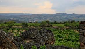 Discover freixo de numão, a winery in douro, portugal and explore their most popular wines. Freixo De Numao E Uma Aldeia De Encantar Em Vila Nova De Foz Coa