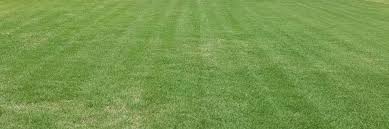 Read our outstanding reviews on kudzu.com. Scenic Lawn Care Services Affordable And Local Lawn Care Services