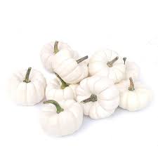 10 Weisse Kurbisse Baby Boo Kurbisse Weiss Kurbis Deko Super Als Dekokurbisse Bei Halloween Und Speisekur Weisse Kurbis Deko Kurbisdekorationen Weisser Kurbis