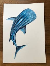 ORIGINAL PAINTING Whale Shark in watercolor 7"x10"(18x25cm) – Sea  Connection Art