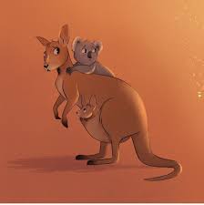 Australia Kangaroo Illustration Kangaroo Drawing Australia Animals