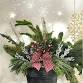 DIY Christmas Patio Pot 5 - 2025 event image