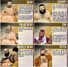 An explanation of the different types of bears you can find in the  community. 🐻 : rgaybros
