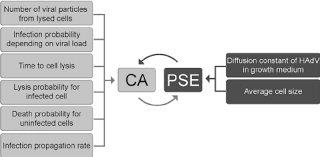 Hybrid Model Consisting Of A Ca Pse A Flow Chart Of The