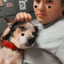 Cane corso training in Broken Arrow area?