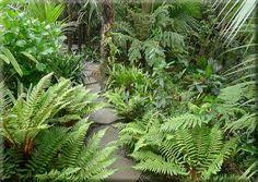 Titirangi Garden Stepping Stones From Lanzscapes Co Nz Native Garden Tropical Landscaping Garden Landscape Design