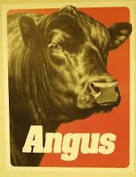 Pin By American Angus Association On Your Pinterest Likes Cattle Farming Cattle Cow Art