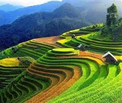 Sapa is a beautiful, mountainous town in northern vietnam along the border with china. Sapa Vietnam Picture Of Sapa Daily Tours Sapa Tripadvisor