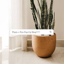 Find large planter in canada | visit kijiji classifieds to buy, sell, or trade almost anything! Kawa Canada Home Garden Decor Kawa Canada