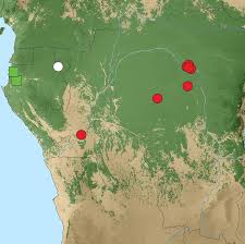 Image result for Monanthotaxis trichantha