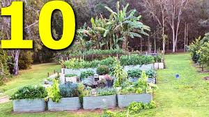 Maybe you would like to learn more about one of these? 10 Vegetables You Should Always Grow Youtube