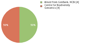 Image result for Danthoniopsis dinteri