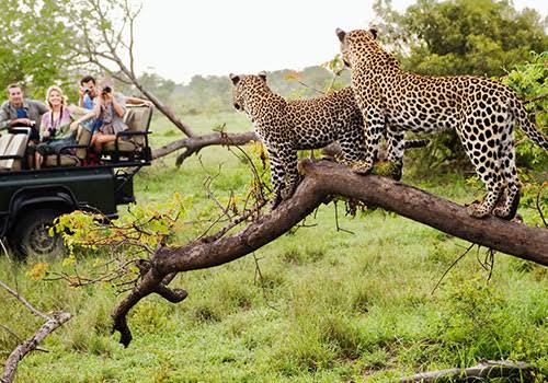 Know More About The Best Mombasa Kenya Holiday Packages