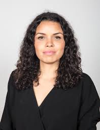 Thomas Suddes: Will Dolan, Gibbons, Mandel, Moreno, Timken or Vance be Ohio  Republicans' pick?