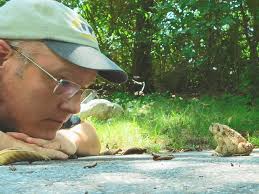 Deer trying to stay cool in New Hampshire
