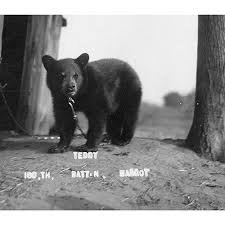 Teddy Bruce and the 160th: "The Battalion with the Bear"