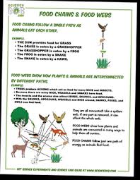 (definition of ecology from the cambridge academic content dictionary © cambridge university press). What Is The Difference Between Food Chains And Food Webs