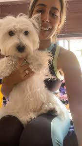 Mila (@westie.mila) • Instagram photos and videos