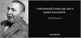 The range of short hairstyles for wavy hair is incredibly wide and allows any woman to project her individual fashion style effortlessly. Curly Howard Quote I Had Beautiful Wavy Hair And A Waxed Moustache