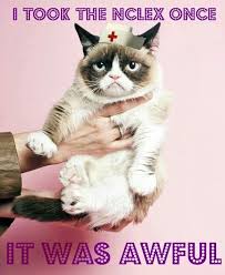 19 Nurse Kitty Ideas Grumpy Cat Grumpy Cat Humor Grumpy