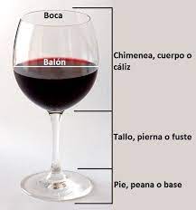 Las Diferentes Partes De Una Copa De Vino Comida Y Vino Vinos Y Quesos Vino