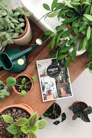 Dans le salon la cuisine ou meme la chambre les plantes de la maison apportent une agreable touche de verdure et de naturel. S Occuper De Ses Plantes D Interieur Conseils Pour Les Debutants Je Ne Sais Pas Choisir