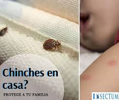 Es una gran forma de bloquearles la entrada a tu casa a esos bichos. Insectum No Permitas Que Afecten A Tu Familia Si Facebook