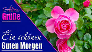 Schöne guten morgen sprüche für deine herzensmenschen ► für dein schwarm best friend zum totlachen weise morgen zitate ohne lange suche.überrasche deinen partner oder freund doch einfach mal mit einem lustigen oder besonders liebevollen guten morgen gruß! Guten Morgen Schonen Mittwoch Wunsche Ich Dir Youtube