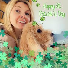 Alvechurch Dog Grooming